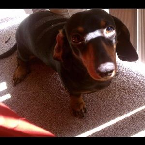 Meet your Posher, Michael